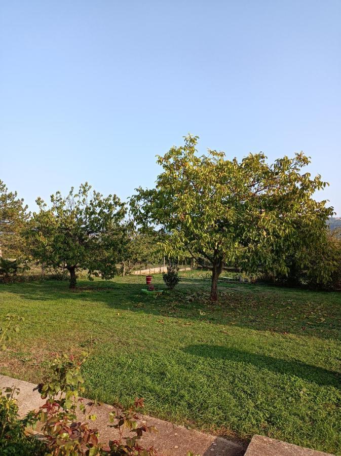 Apartman Biba Labin  Esterno foto